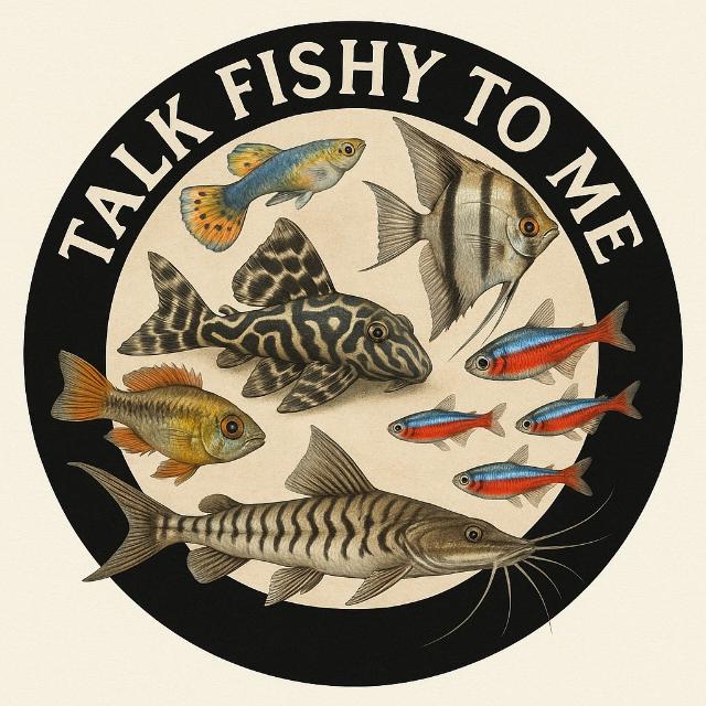 Talk Fishy To Me